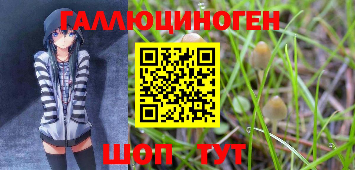 Туапсе  Псилоцибиновые грибы прущие грибы  Вход с VPN  Псилоцибиновые грибы мицелий 
