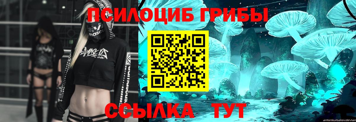 Галлюциногенные грибы мухоморы Туапсе